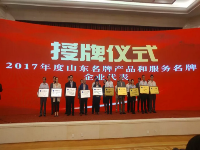 热烈祝贺九游网页版荣获“山东名牌”荣誉称号
